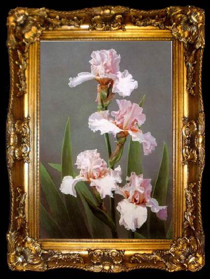 framed  unknow artist Still life floral, all kinds of reality flowers oil painting 14, ta009-2